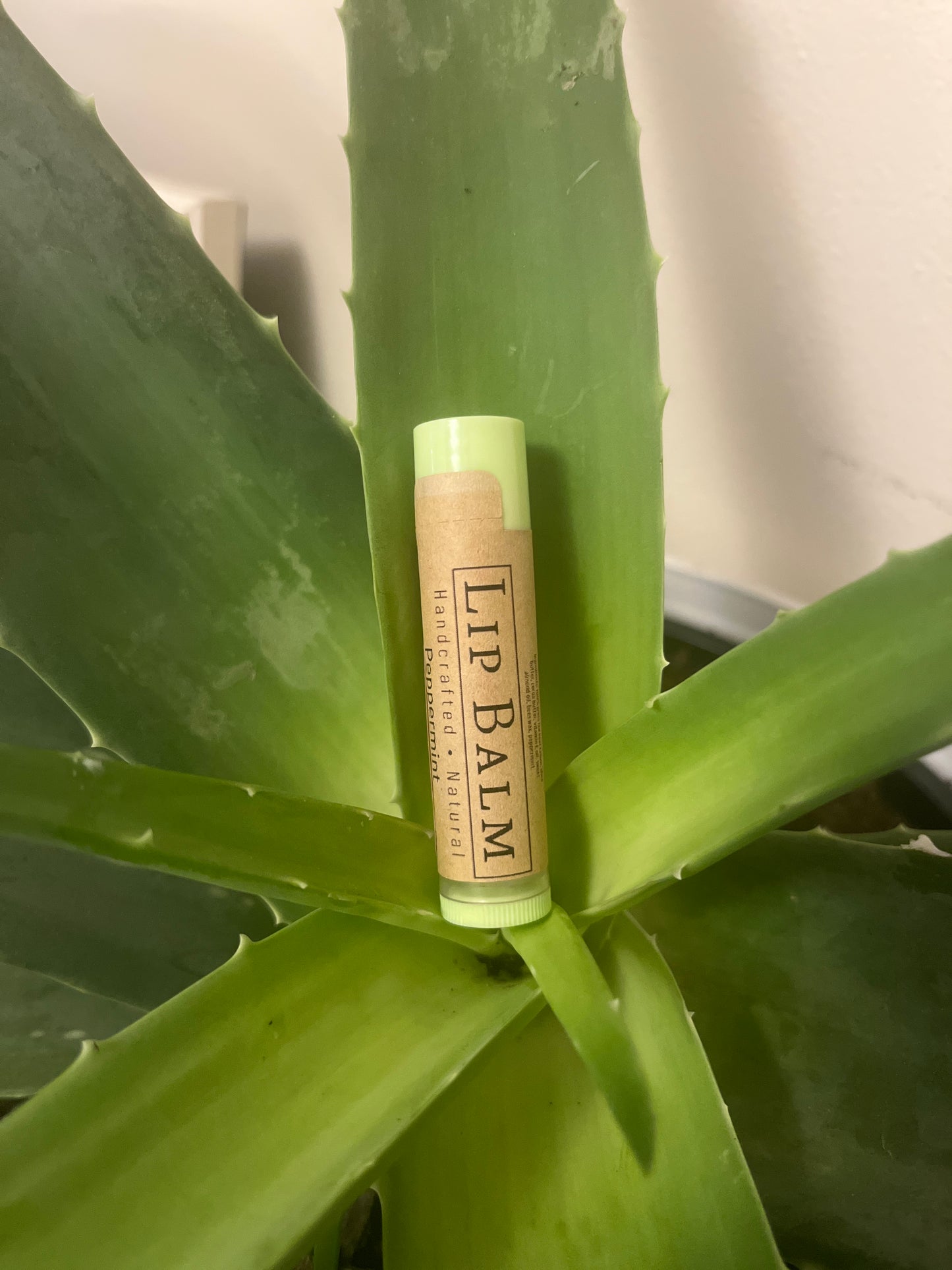 Peppermint Tallow Lip Balm