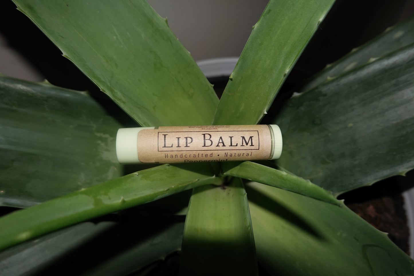 Peppermint Tallow Lip Balm