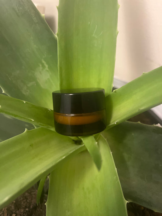 Tallow Moisturizer Sample 0.5oz