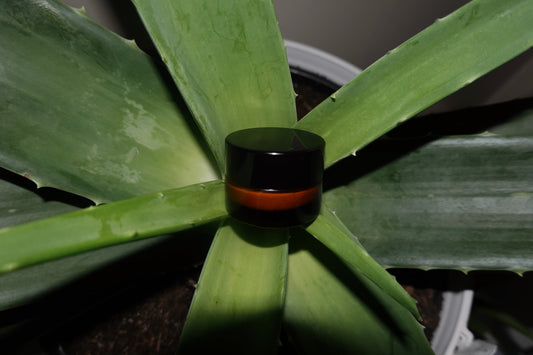 Tallow Moisturizer Sample